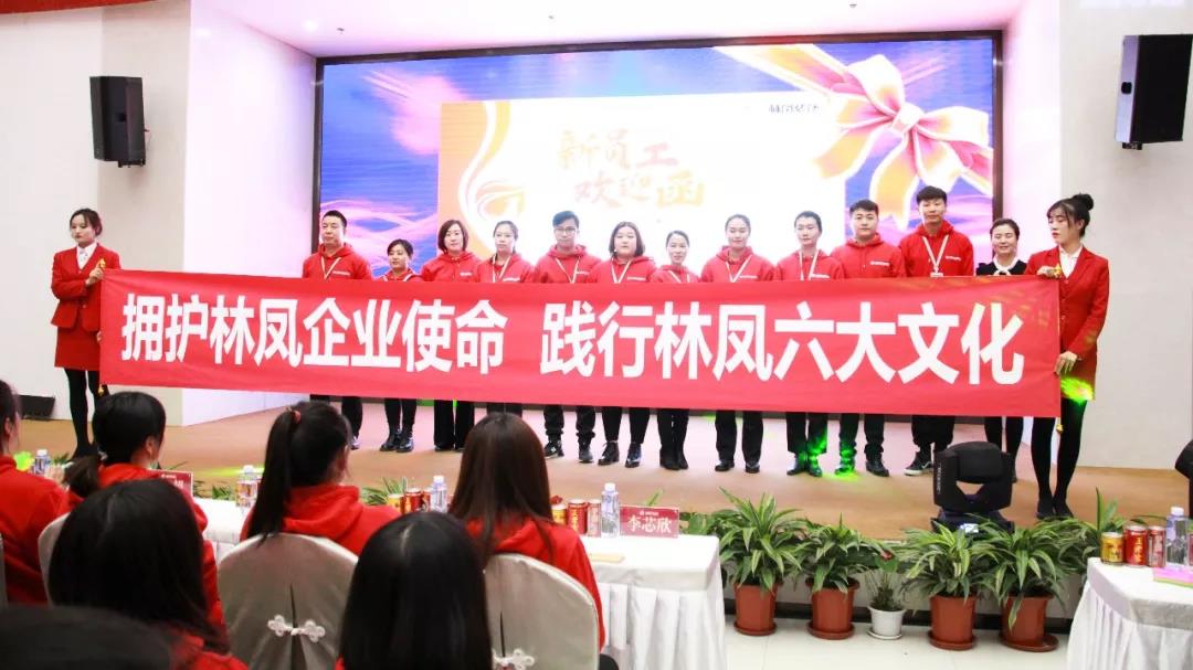 勇者心逐夢路林鳳裝飾11月總結(jié)會(huì)迎新會(huì)